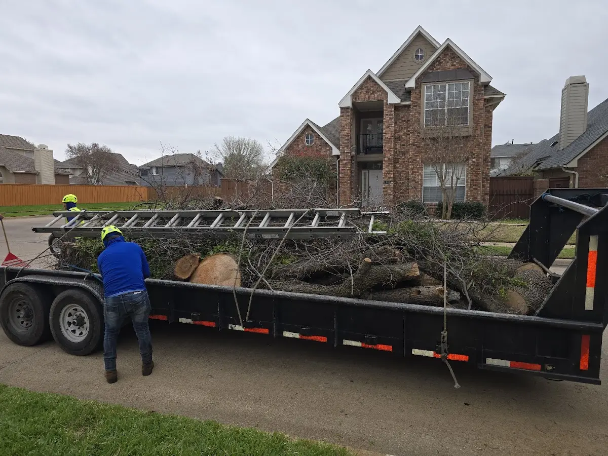 Expert Lot Clearing with proper safety equipment in Derma